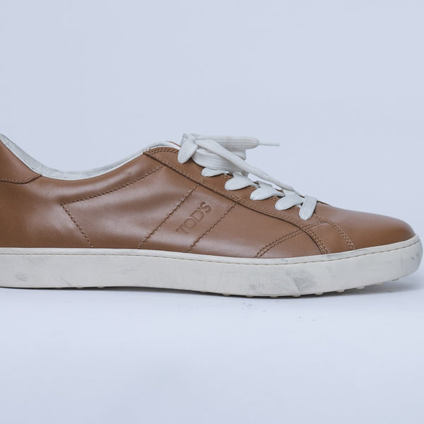 Brown Tod's Sneaker