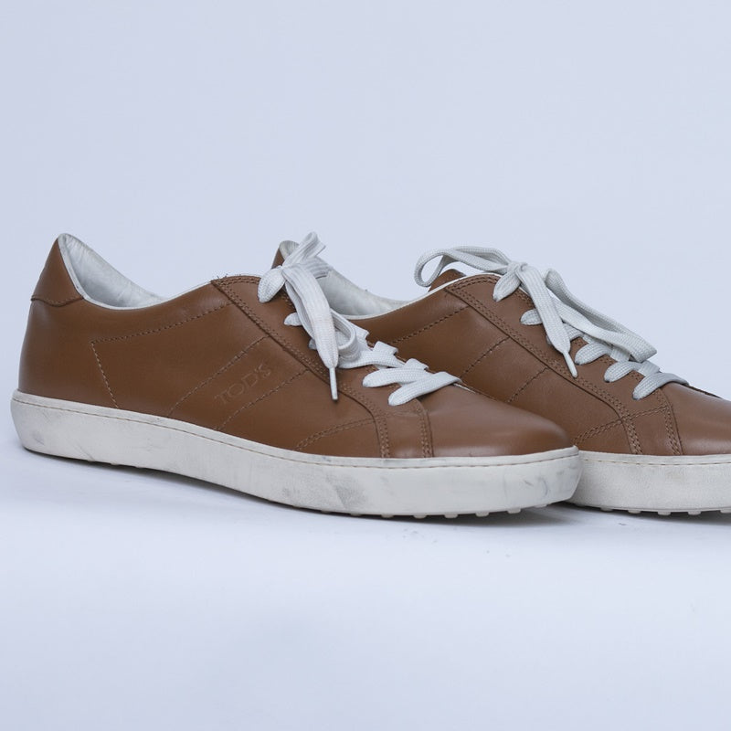 Brown Tod's Sneaker