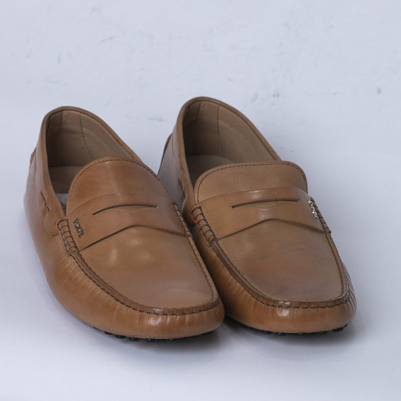 Brown Tod's Dress Shoe