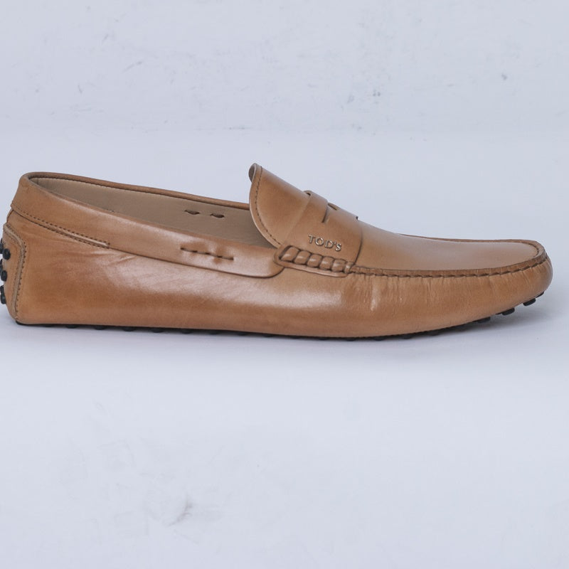 Brown Tod's Dress Shoe